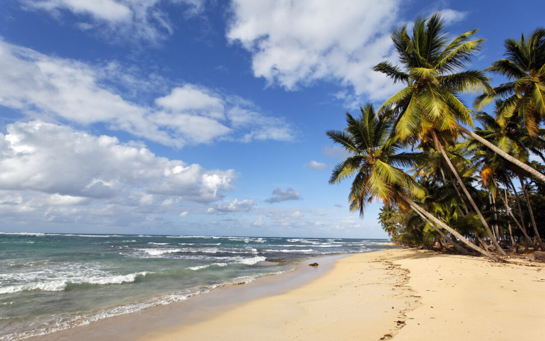 Why You Should Visit Rincón Las Galeras Beach in the Dominican Republic