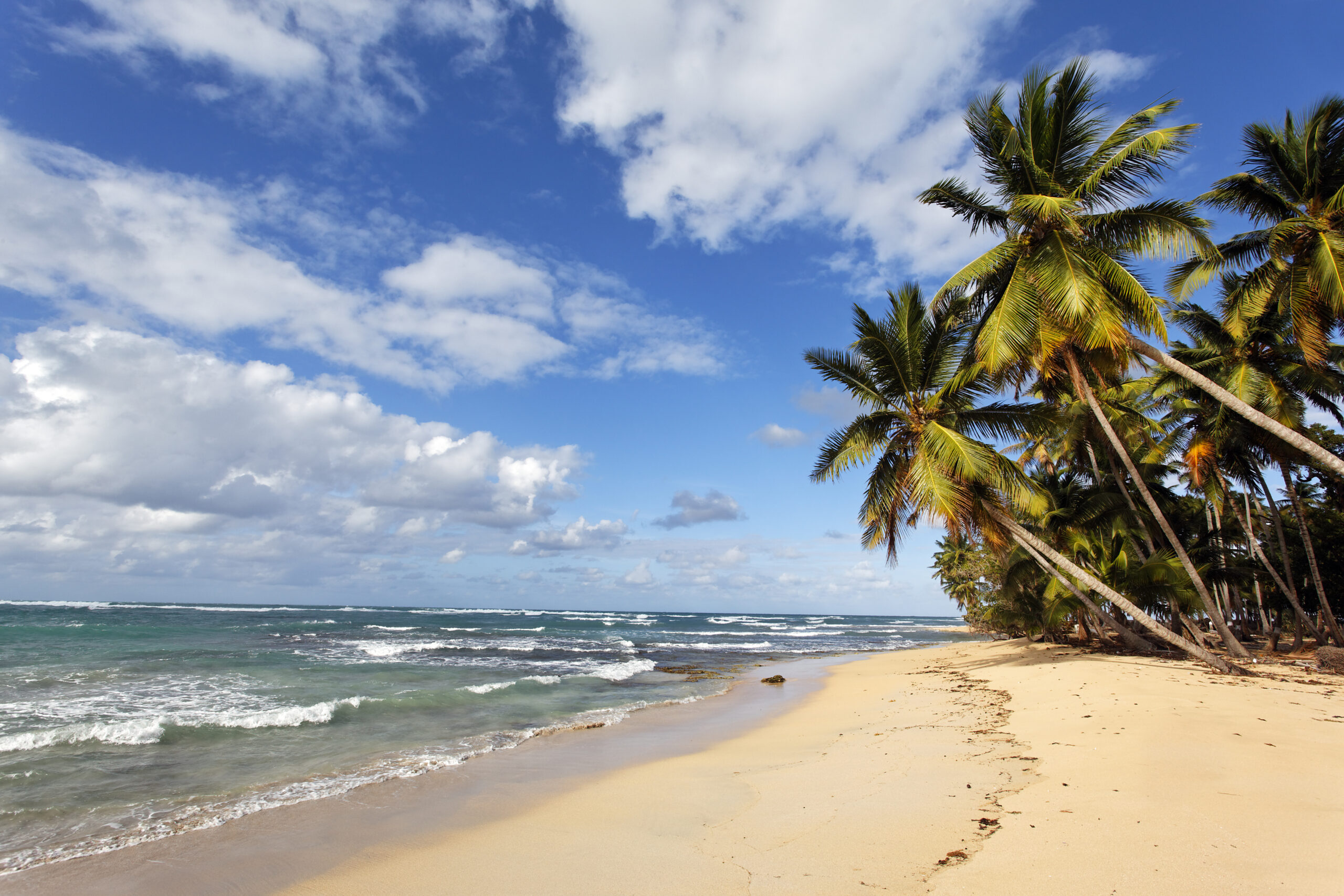markus-spiske Why You Should Visit Rincón Las Galeras Beach in the Dominican Republic