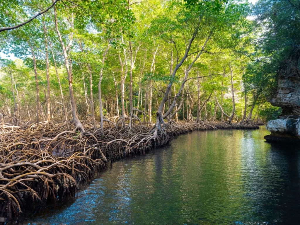 Los Haitises National Park 1