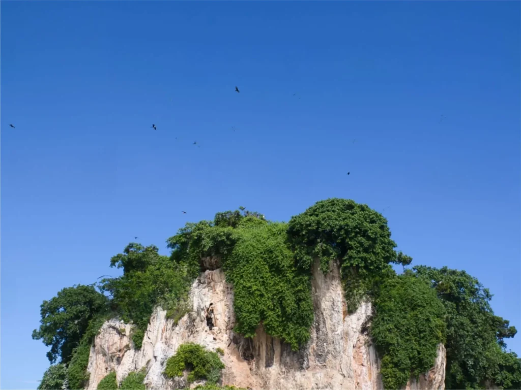 Los Haitises National Park 3