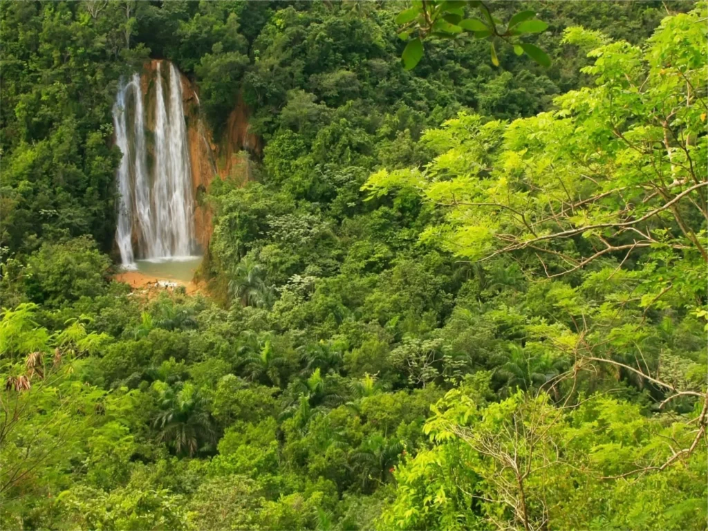 Lemon Waterfall 3